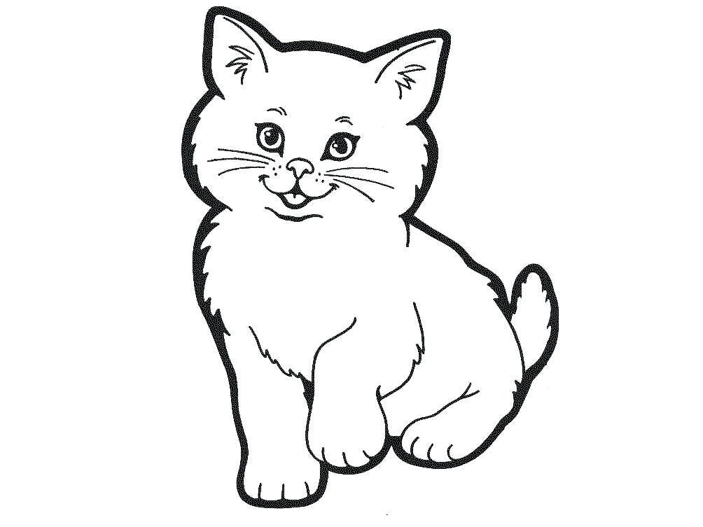 Kedi Kalem Çizimi Secdem