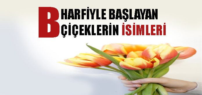 B Harfiyle Baslayan Ciceklerin Isimleri Secdem