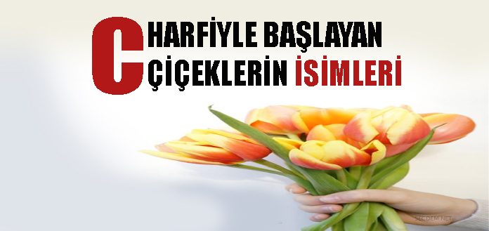 C Harfiyle Baslayan Ciceklerin Isimleri Secdem