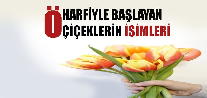 O Harfiyle Baslayan Ciceklerin Isimleri Secdem