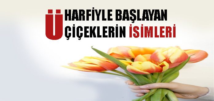 U Harfiyle Baslayan Ciceklerin Isimleri Secdem