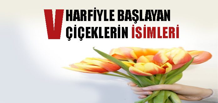 V Harfiyle Baslayan Ciceklerin Isimleri Secdem Bir Dunya Icerik